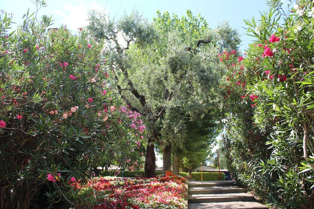 Camping Cisano - San Vito Bardolino Dış mekan fotoğraf